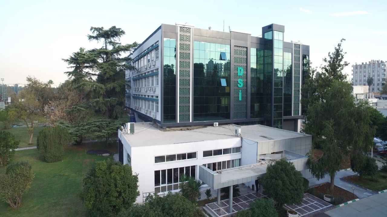 Dsi (2)