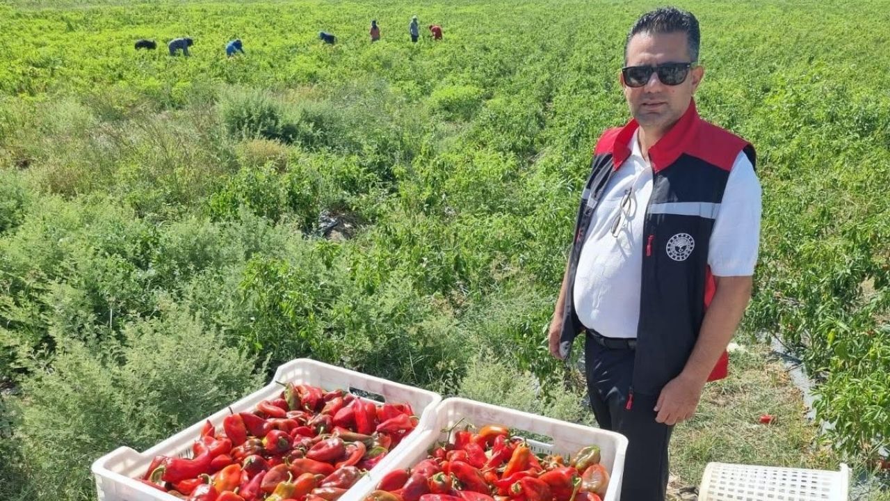Kapya Biber Hasadı Sarıçam’da Başladı (1)