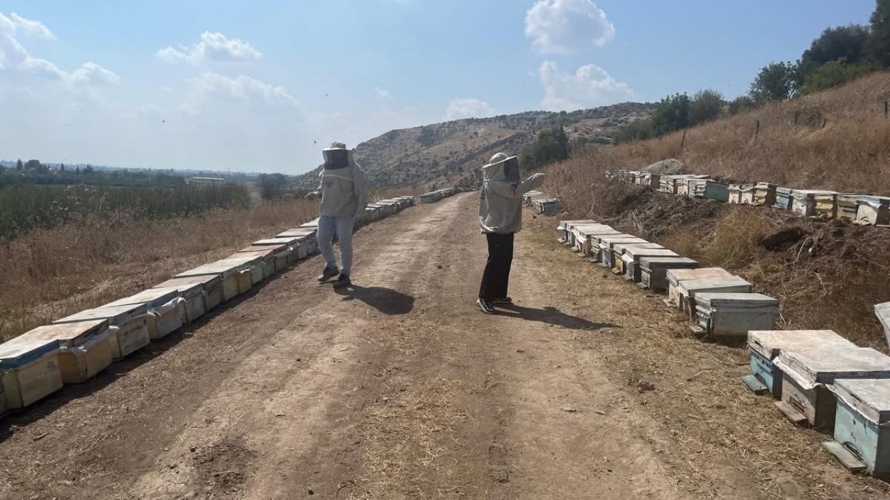Kozan’da Arıcılık Destekleme Başvuruları Başladı (1)