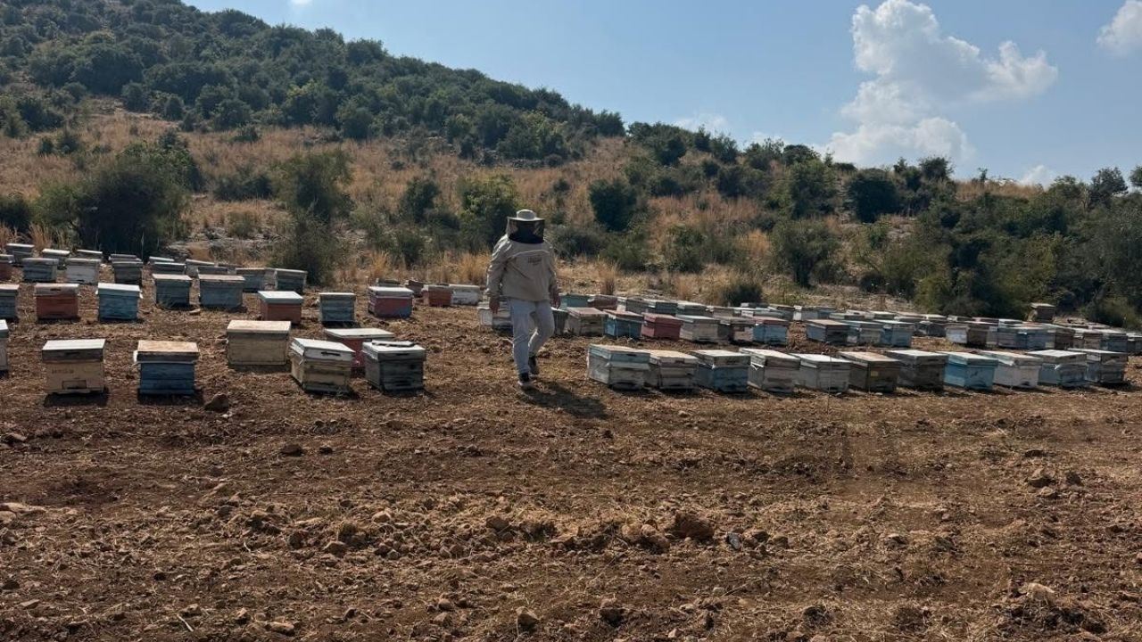 Kozan’da Arıcılık Destekleme Başvuruları Başladı (2)