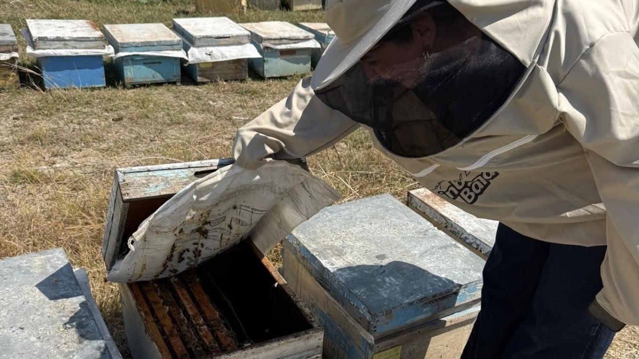Kozan’da Arıcılık Destekleme Başvuruları Başladı (3)