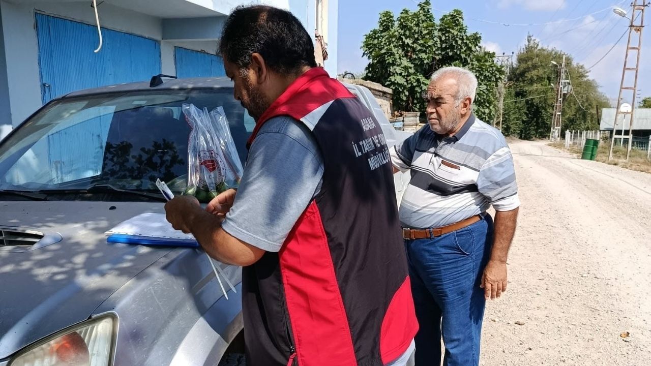 Kozan’da Hasat Öncesi Pestisit Denetimleri Sürüyor (1)