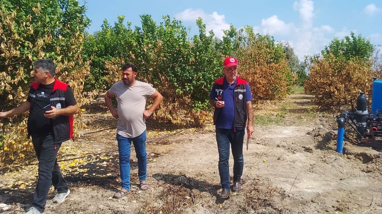 Kozan’da Üreticinin Sorununa Yerinde Çözüm (3)