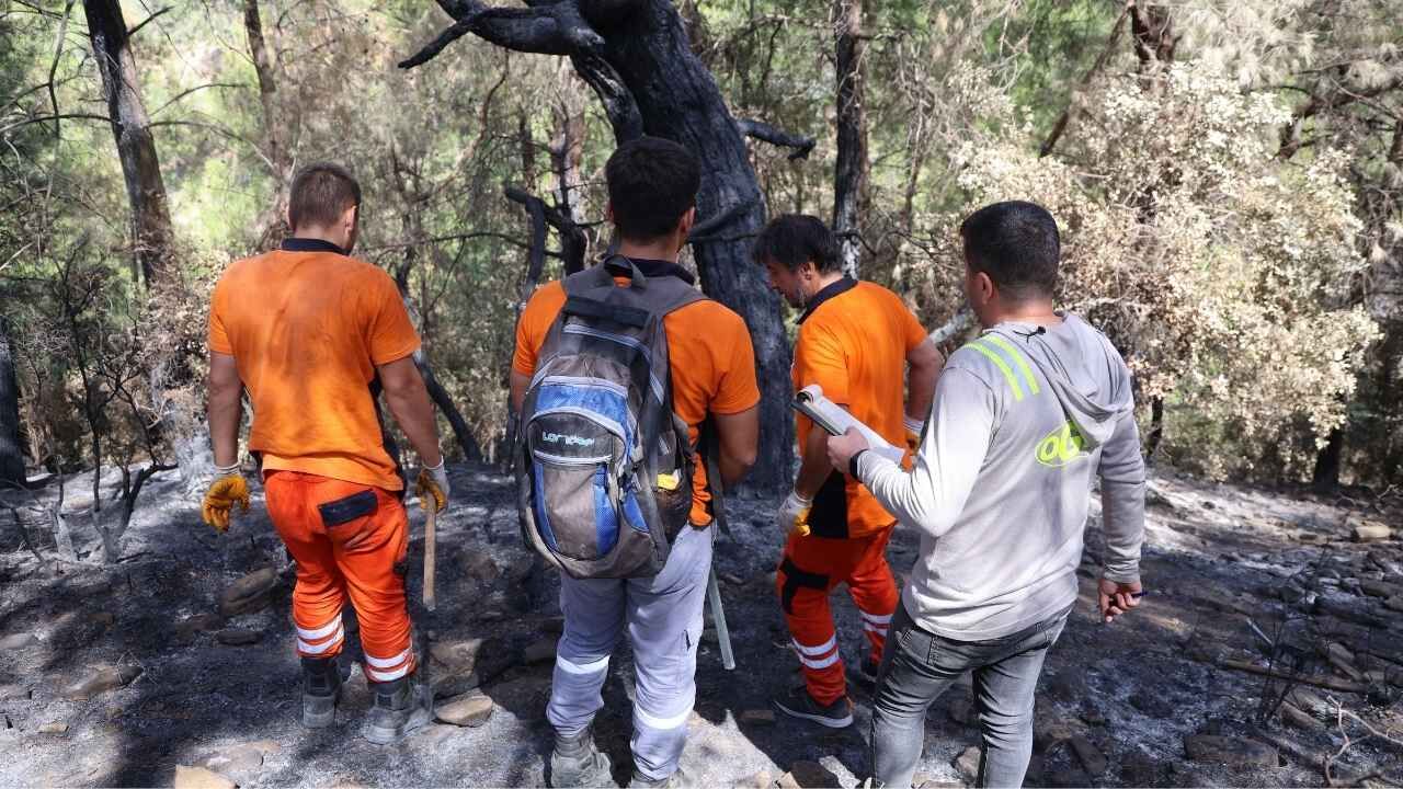 Kozan’da yanan 5 bin 903 hektarlık orman alanı yeniden ağaçlandırılacak