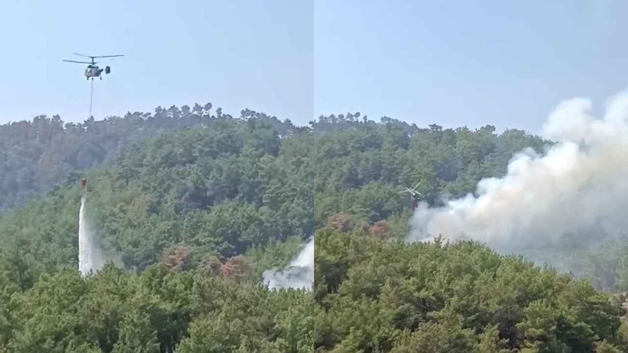 Kozan’daki orman yangını yeniden başladı: Havadan ve karadan müdahale
