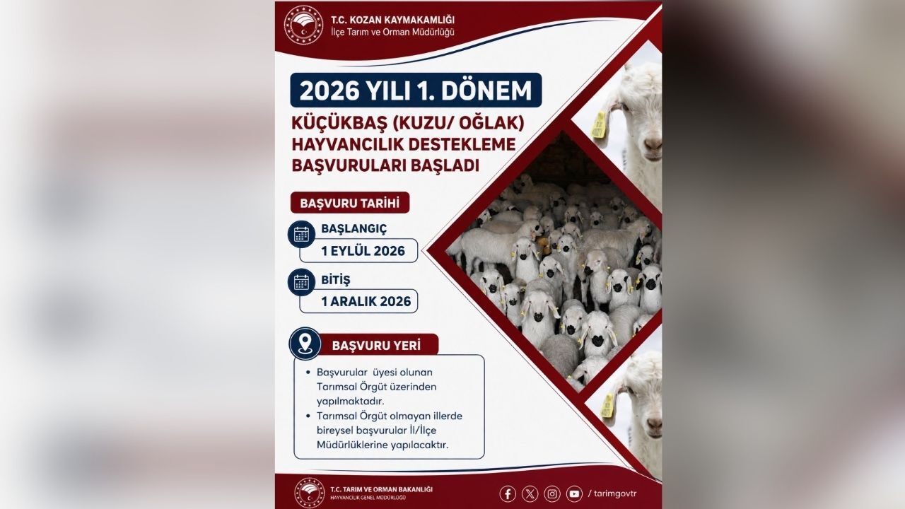 Kuzu Ve Oğlak Desteğinde Başvuru Süreci Başladı