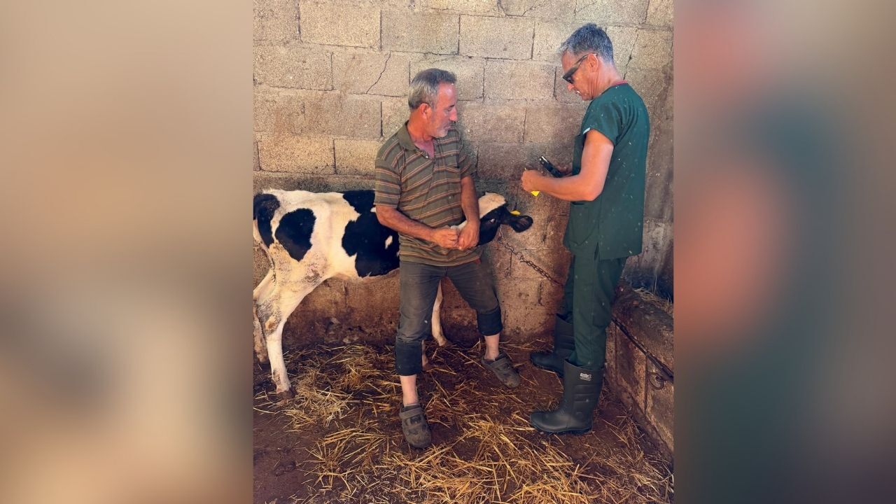 Sarıçam’da Brusella’ya karşı aşılama seferberliği