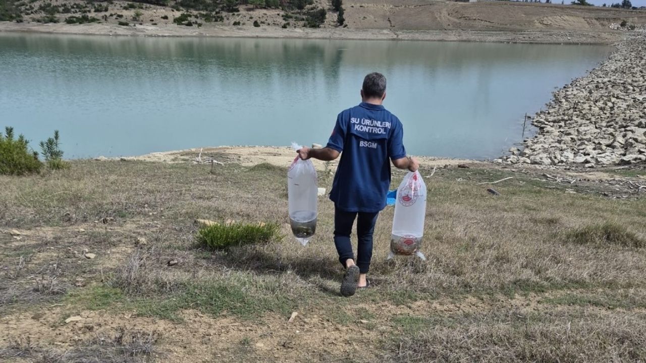 665 Bin Sazan Yavrusu Suya Bırakıldı (2)