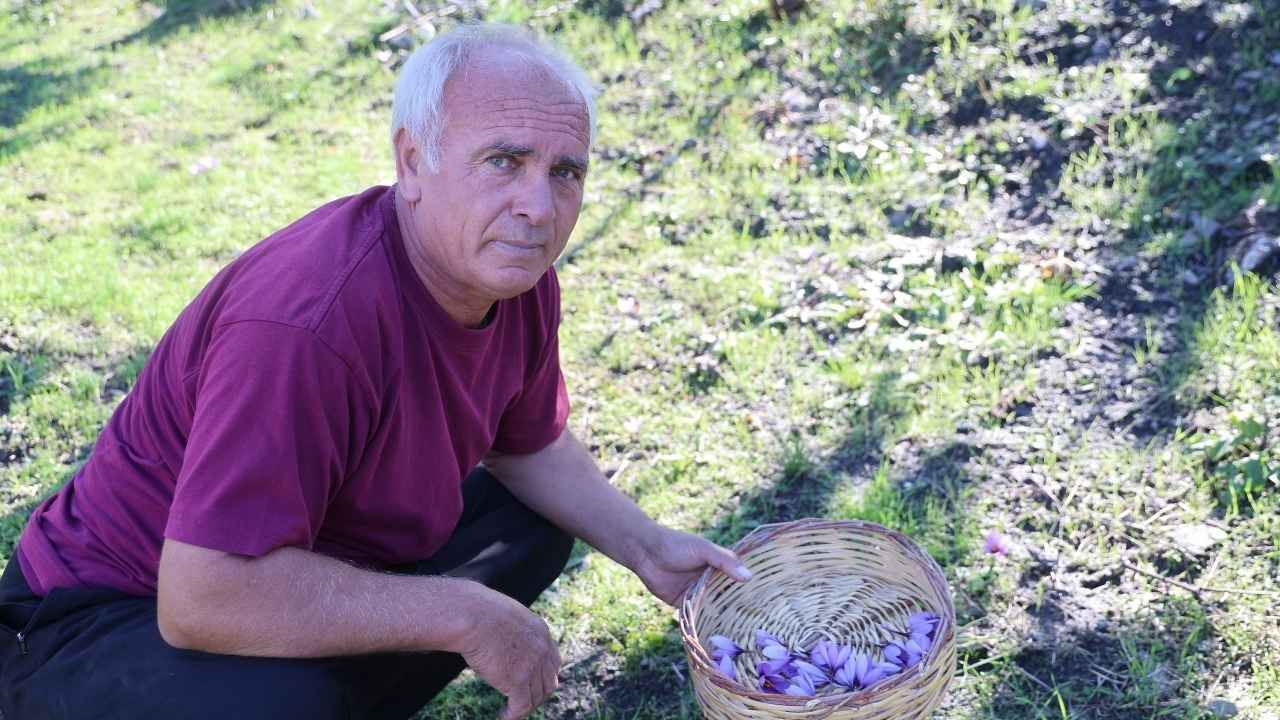 Adana’da Bir Saksıyla Başladı Şimdi Gramını 900 Tl’ye Satıyor (1)