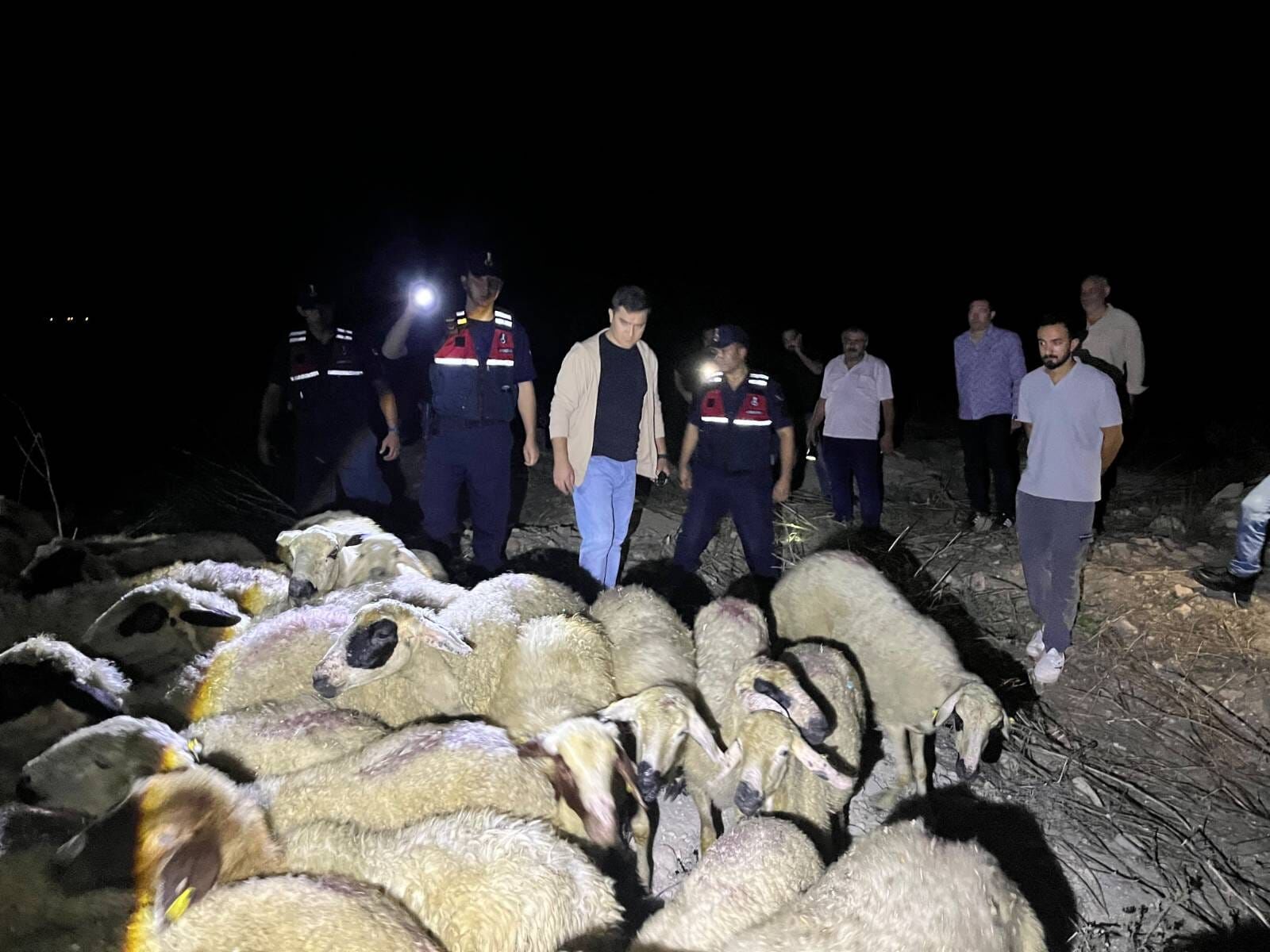 Adana'da kaybolan 45 koyun dronla bulundu