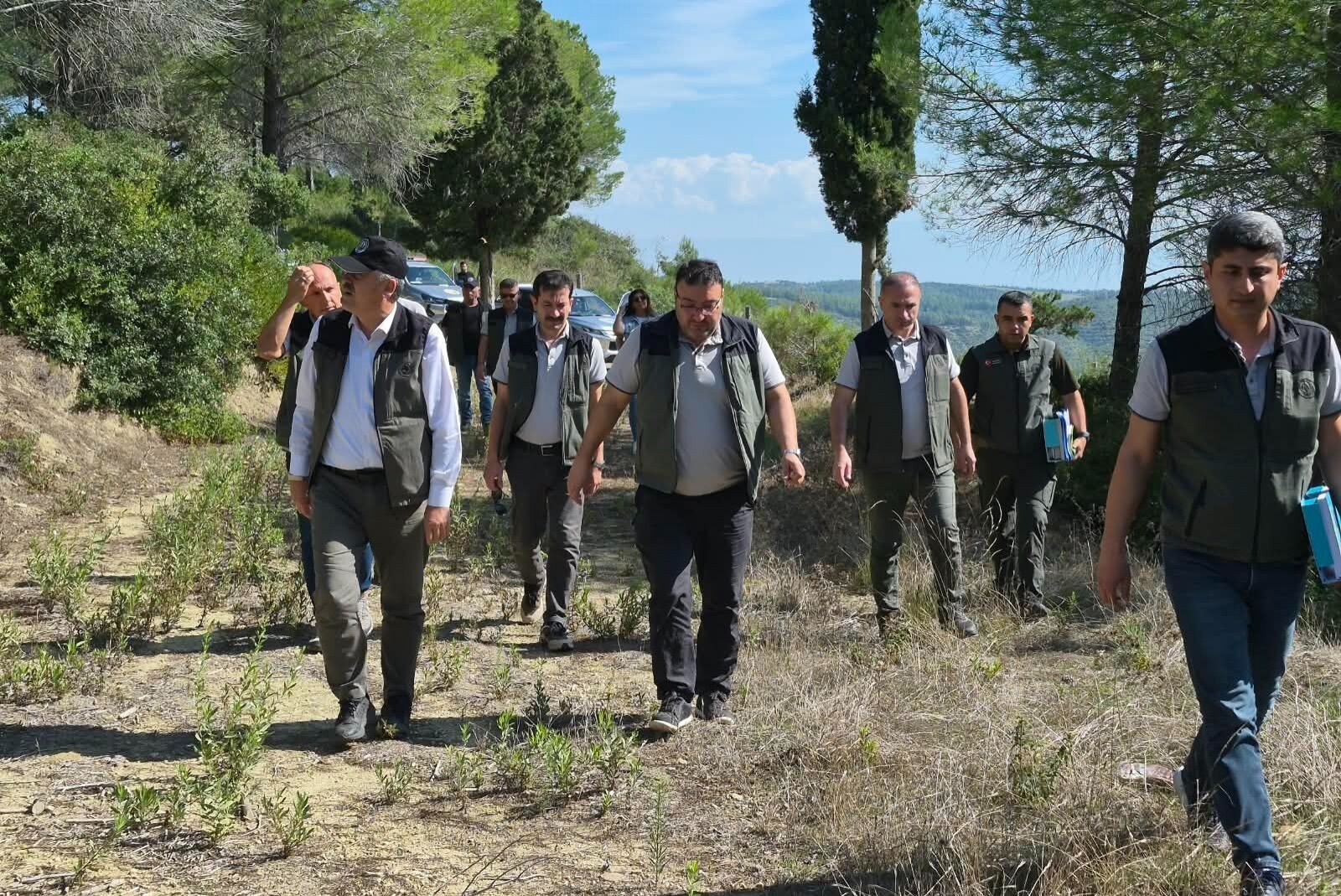 Adana'da Yanan Ormanlar Için Yeni Adım! İki Bölgede Çalışmalar Planlandı (1)
