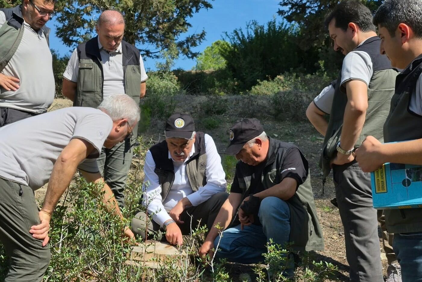Adana'da Yanan Ormanlar Için Yeni Adım! İki Bölgede Çalışmalar Planlandı (2)