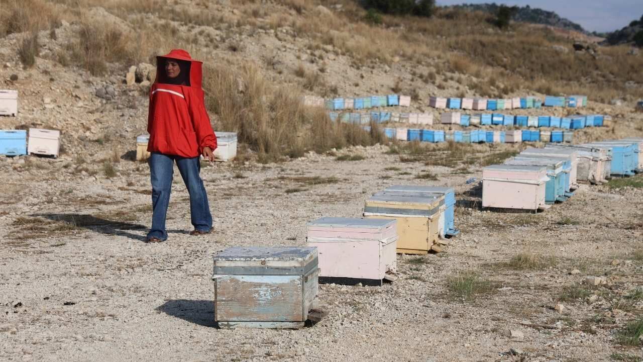 Baba mesleğini geleceğe taşıyor: Bin kovana ulaştı