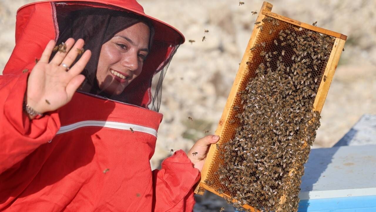 Babasından Öğrendi, Bin Kovanlık Iş Kurdu (2)