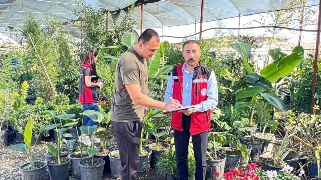 Çukurova’da Süs Bitkisi Üreticilerine Denetim (1)
