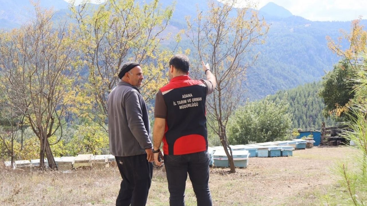 Feke’de Arılı Kovanlar Kontrol Altında