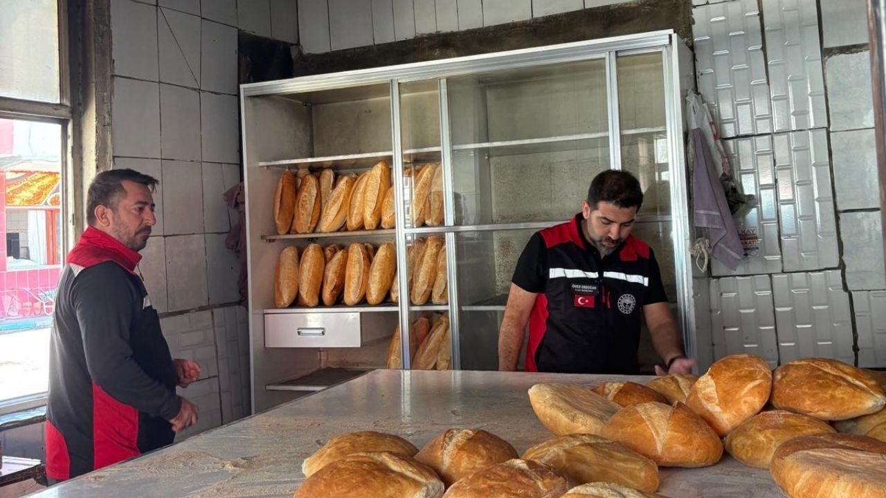 Feke’de gıda güvenliği için ekipler sahada