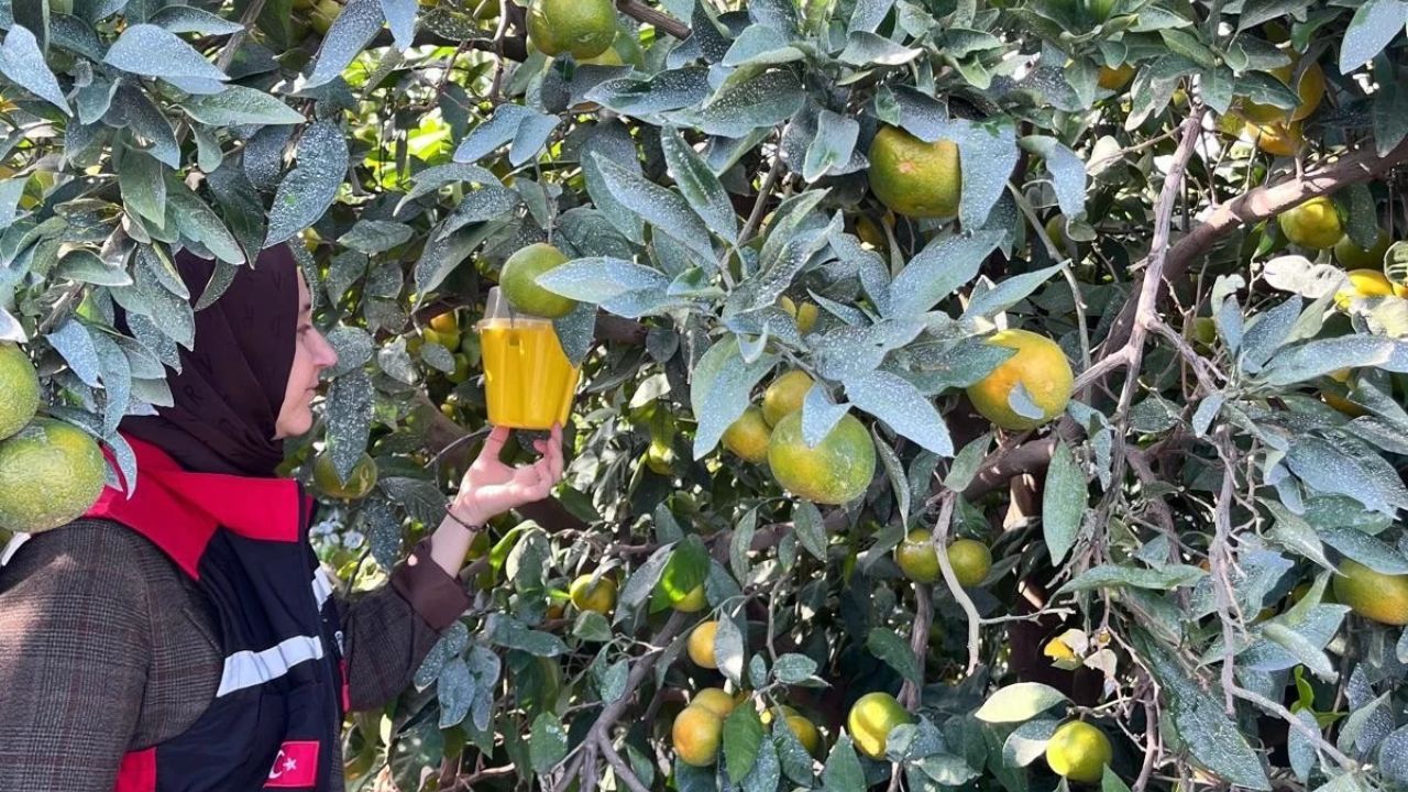 Kozan’da Biyolojik Mücadele Uygulamaları Kontrol Ediliyor (1)
