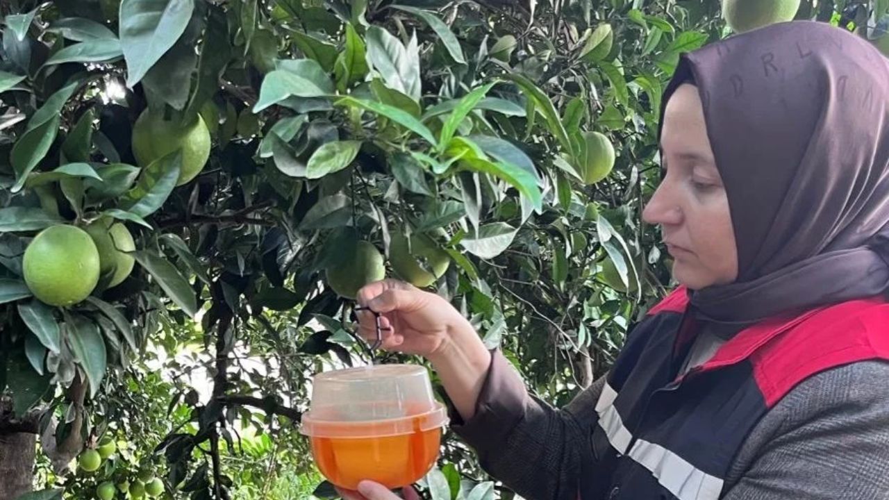 Kozan’da Biyolojik Mücadele Uygulamaları Kontrol Ediliyor (2)