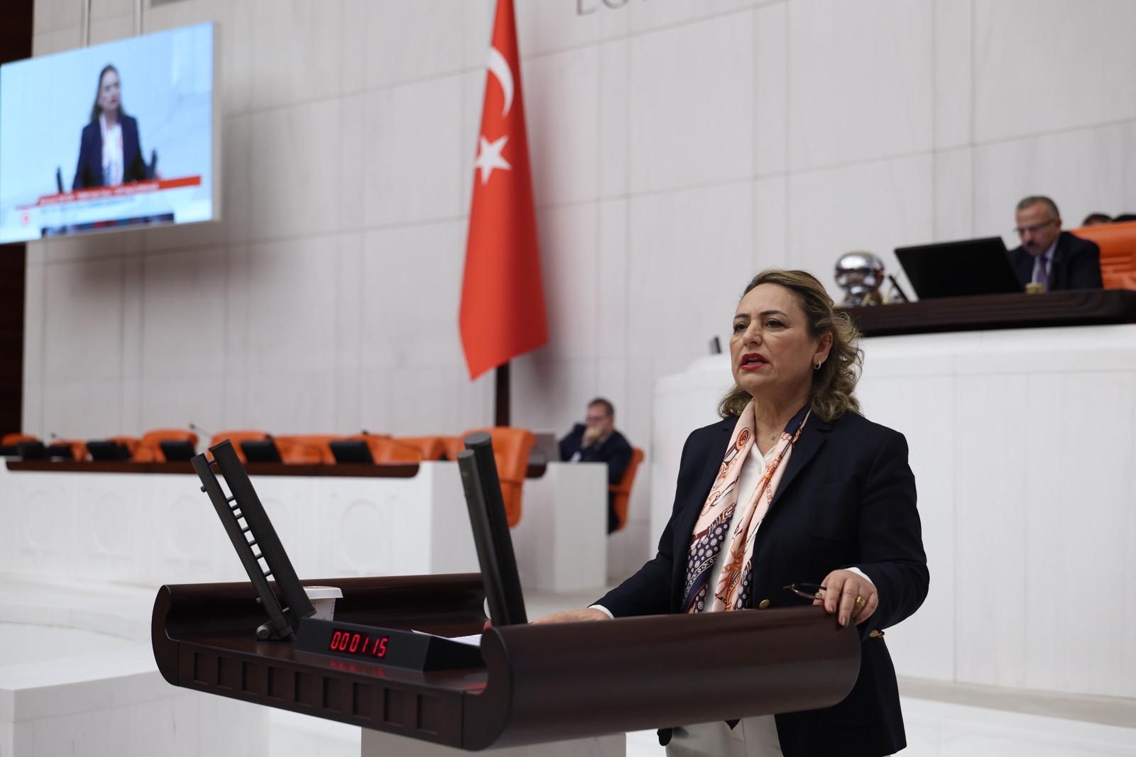 Şevkin'den Meclis'te Kızılay çıkışı: “Vatandaş çadır beklerken Kızılay çadır sattı”