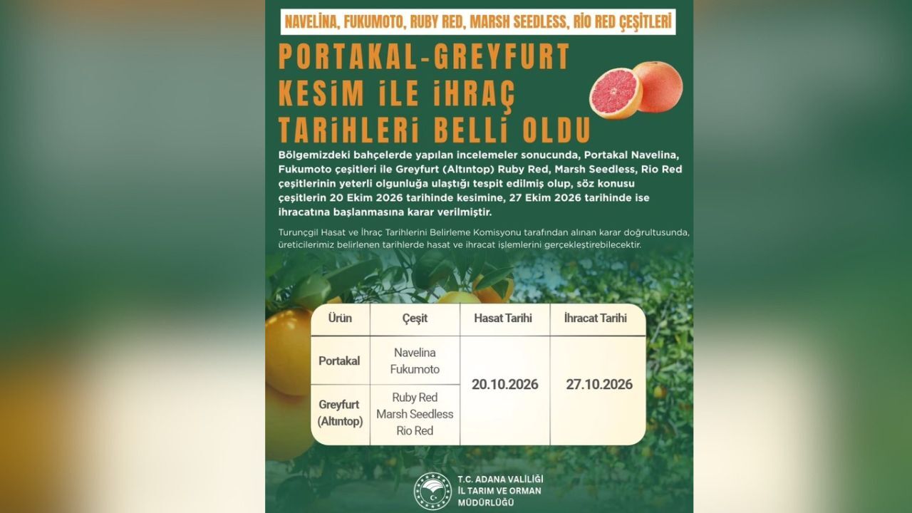 Portakal Ve Greyfurt Hasat Tarihleri Belirlendi