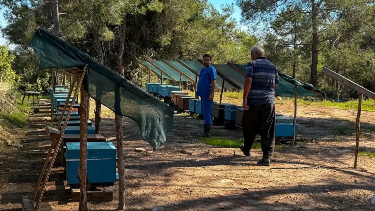 Sarıçam’da Arıcılık Faaliyetleri Sahada Inceleniyor (1)