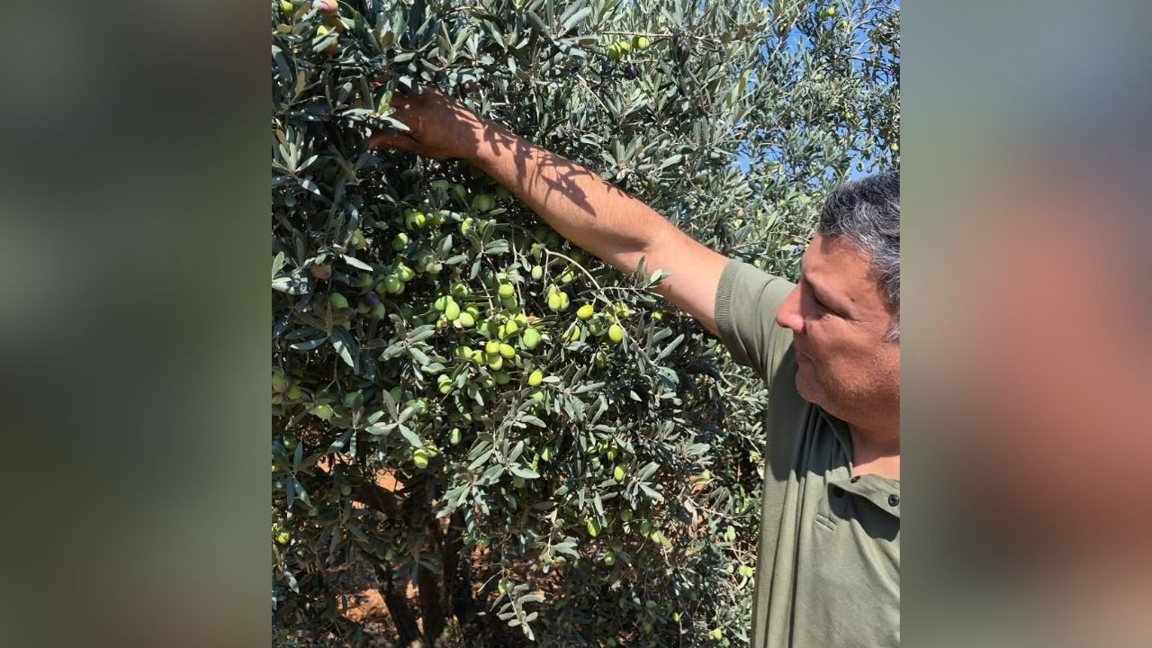 Sarıçam’da Bitki Sağlığı Için Günlük Denetim (1)