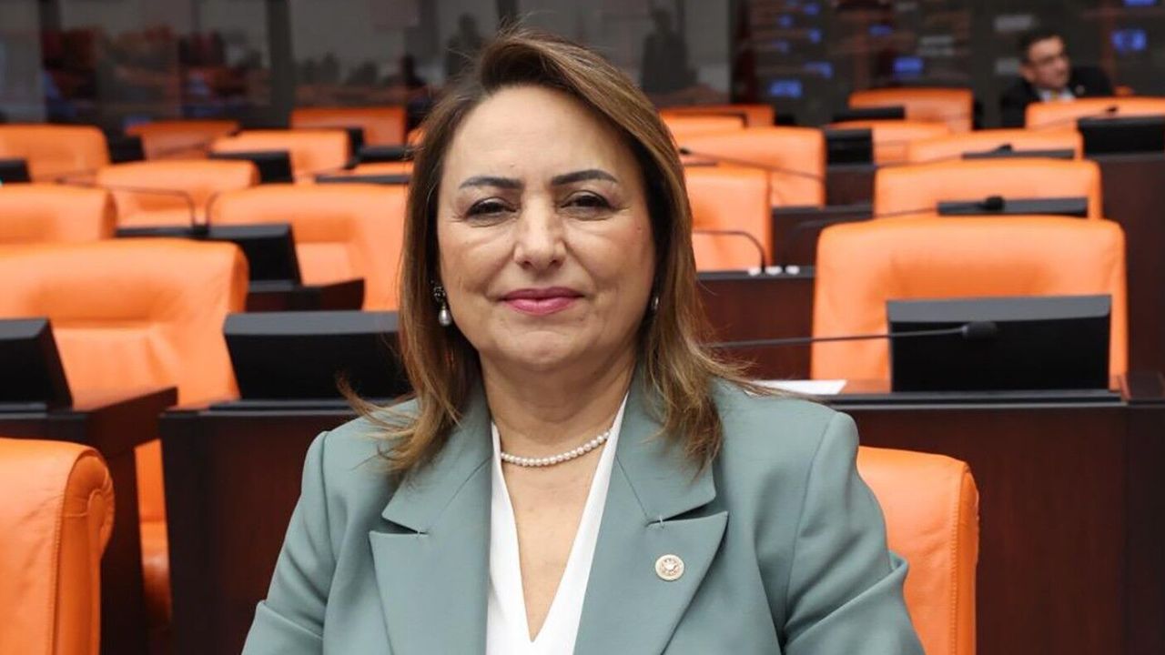 Müzeyyen Şevkin: Kadınlara Sigortasız Doğum Borçlanması Hakkı Tanınmalı