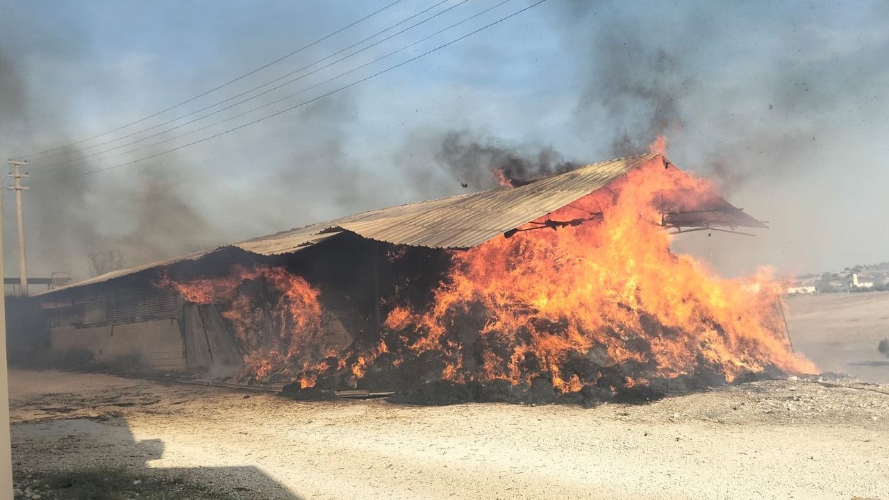 Sarıçam'da alevler bir anda yükseldi!