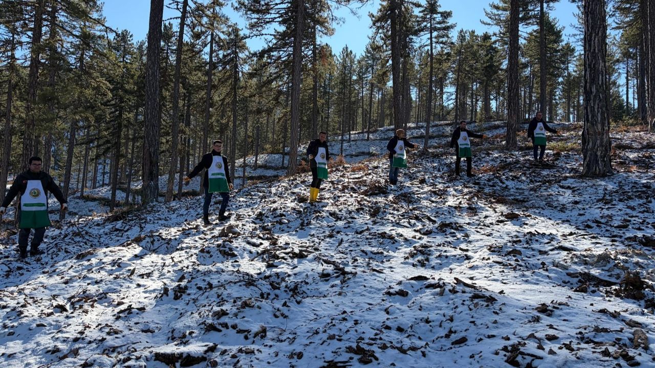 Adana’da 185 Hektarlık Orman Alanı Geleceğe Hazırlanıyor