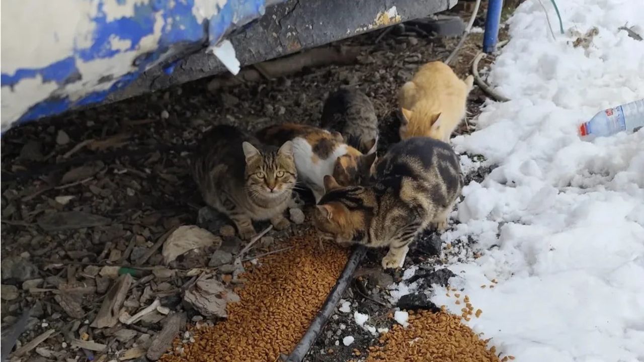 Soğuk Günlerde Karaisalı’da Yürek Isıtan Çalışma