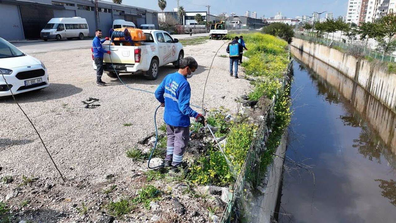 Adana’da Larva ile Mücadele Çalışmaları Sürüyor