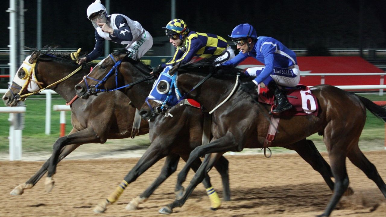 Kadına Şiddete Hayır Koşusu’nda Birincilik Hood River’ın