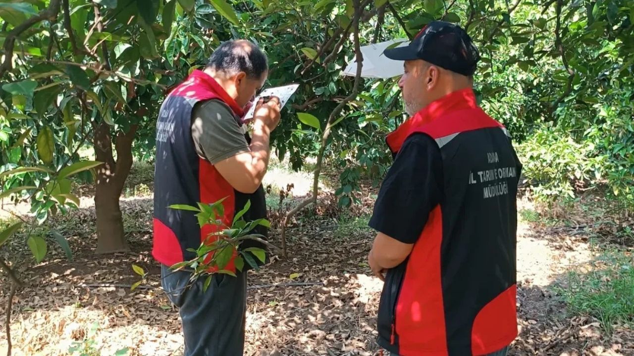 Kozan’da faydalı böceklerle doğal mücadele anlatıldı