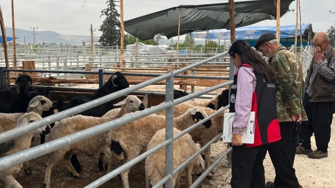 Kozan’da kurban pazarı hareketlendi: Denetimler sürüyor