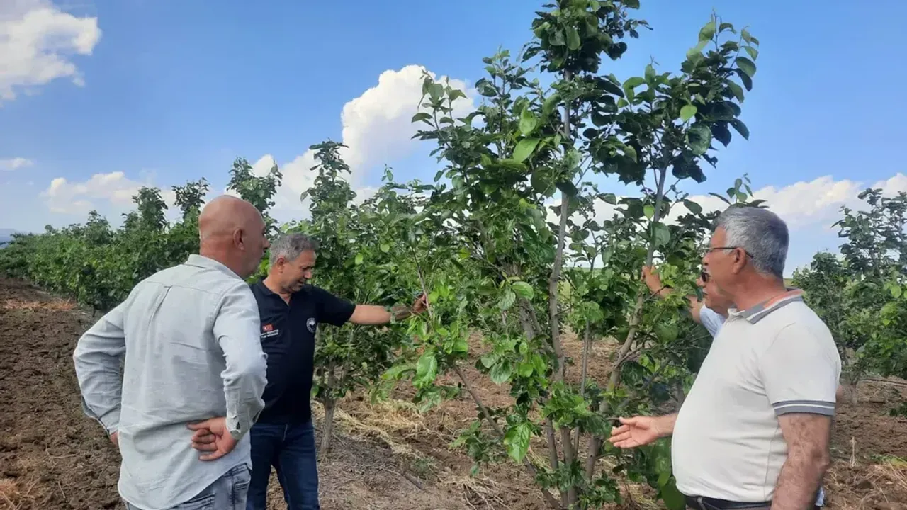 Kozanlı çiftçilere kritik çağrı: Arazilerinizi kontrol edin