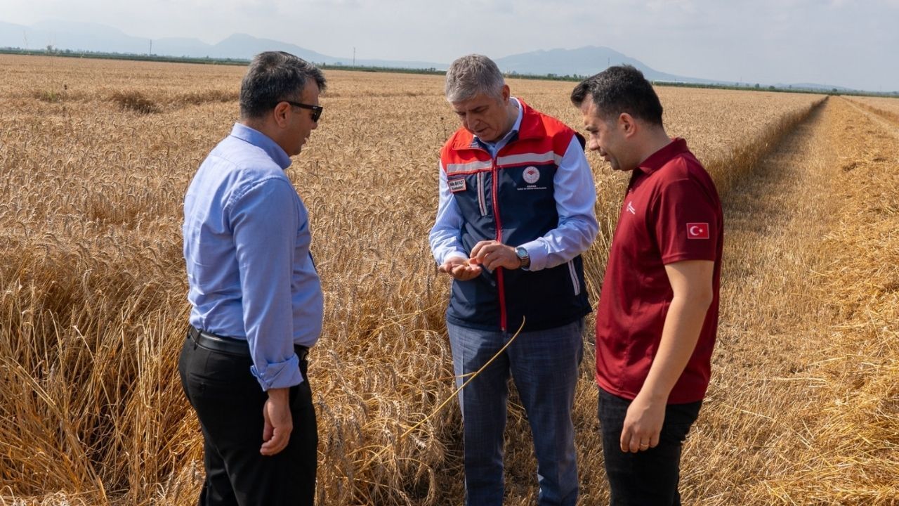 İl Müdürü Bayazıt hasat alanında çiftçilerle buluştu