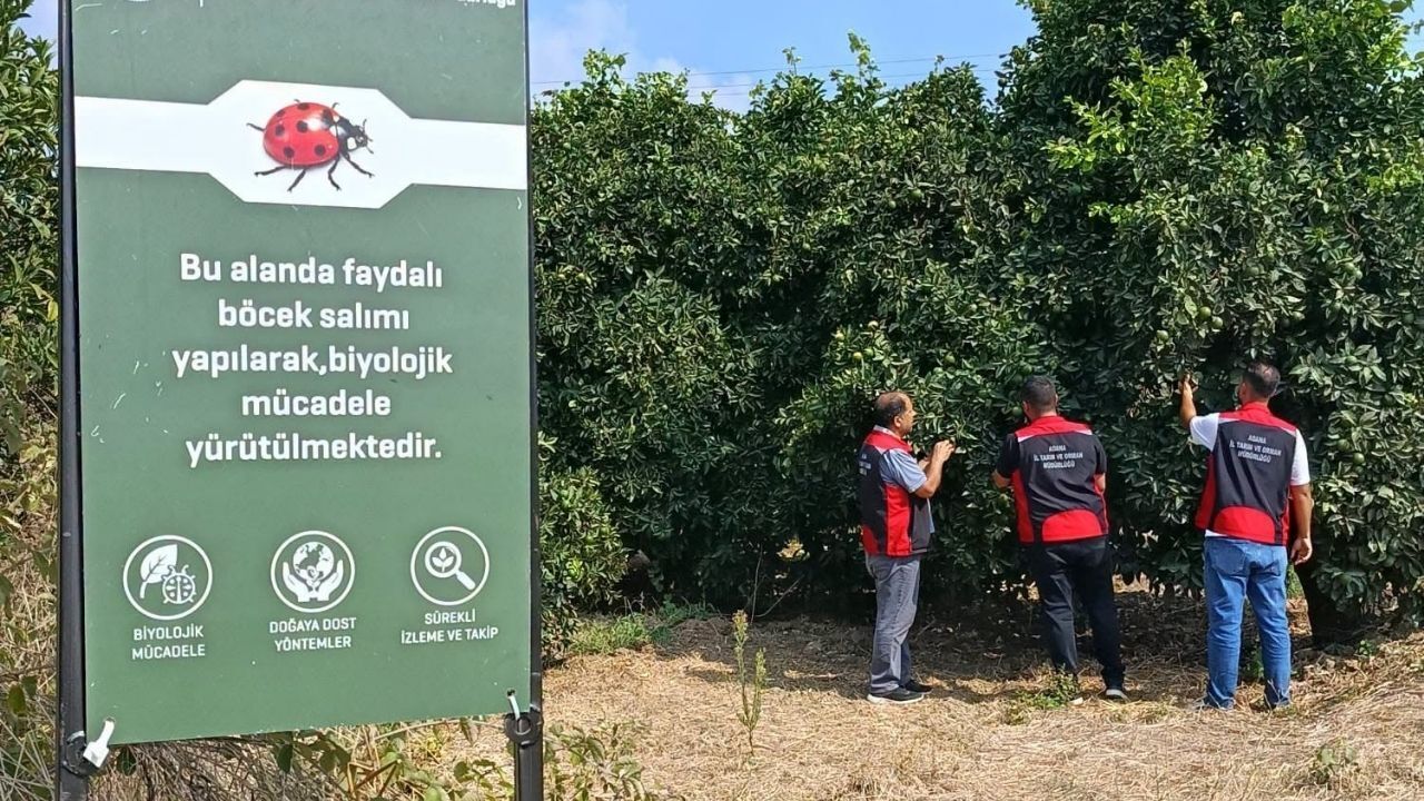 Kozan’da tarım arazilerinde kontroller aralıksız sürüyor