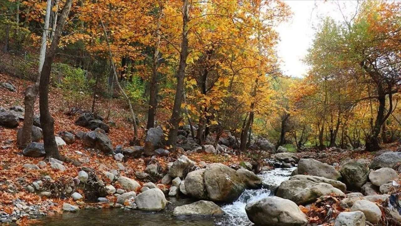 Pozantı Belemedik Yaylası büyüleyici atmosferiyle ziyaretçilerini bekliyor