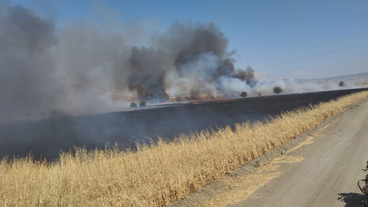 Kahramanmaraş'ta yaklaşık 150 dönüm buğday tarlası yandı