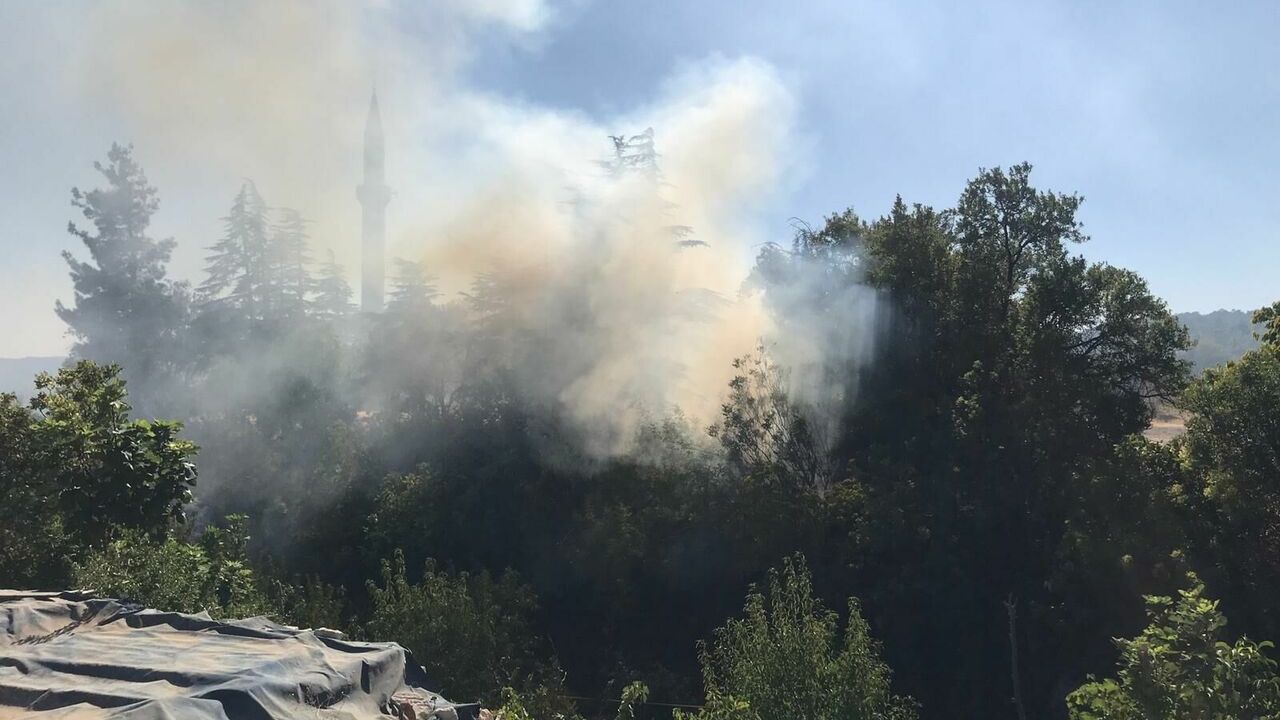 Gülnar'da ağaçlık alanda çıkan yangın kontrol altında