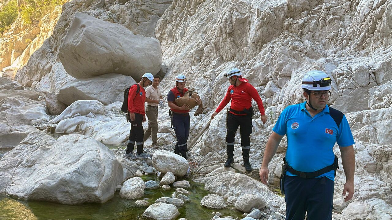 Antalya'da dere yatağında yaralı bulunan yaban keçisi kurtarıldı