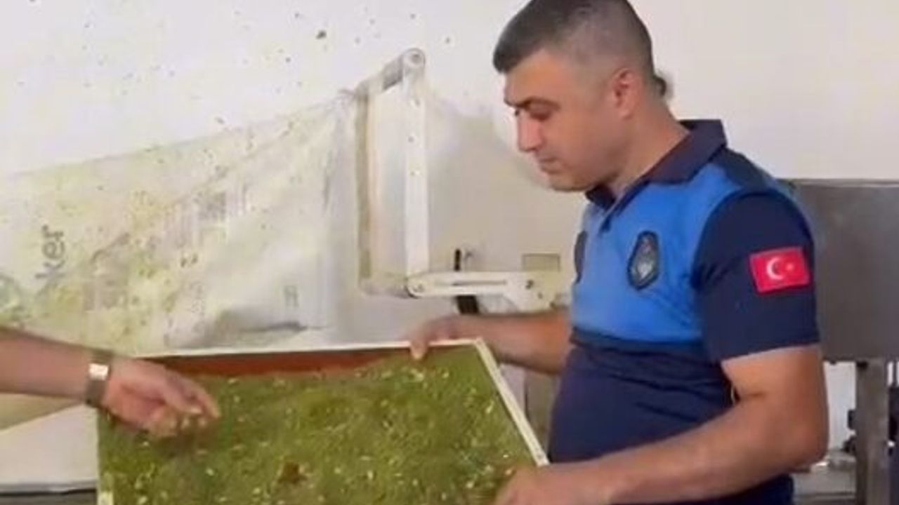 Hatay'da sağlıksız koşullarda üretim yapan 3 işletme mühürlendi