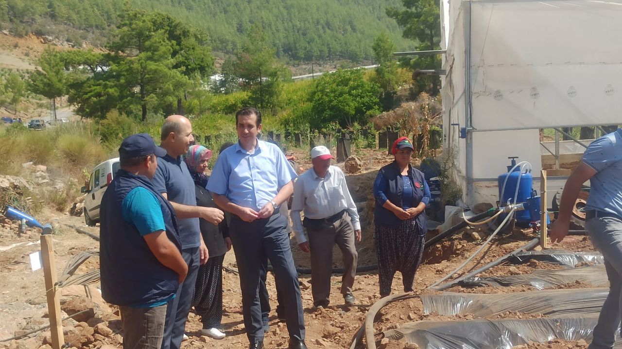 Bozyazı Kaymakamı Tuncay Topsakaloğlu'ndan çilek üreticisine ziyaret