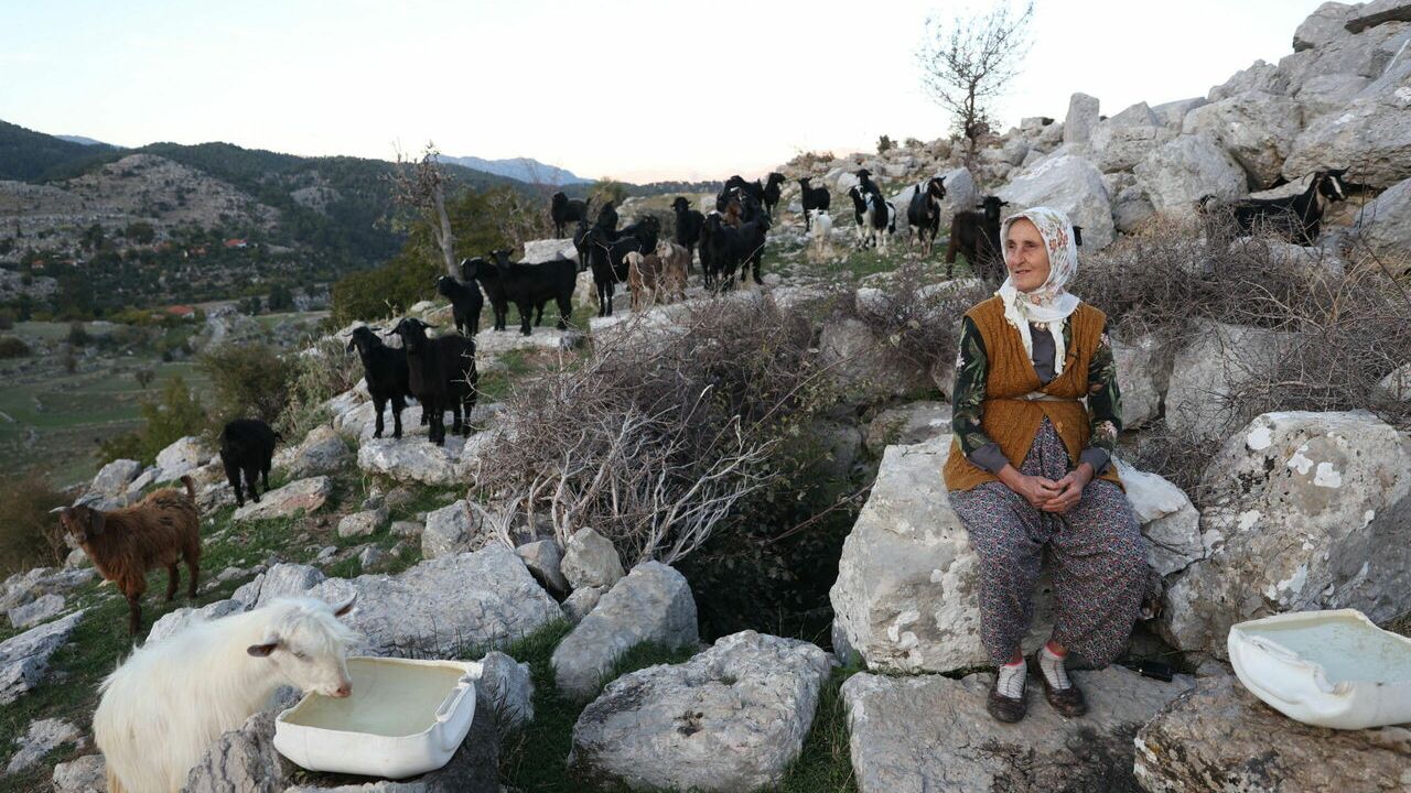 Antik kentin 45 yıllık çobanı: Yörük Fatma