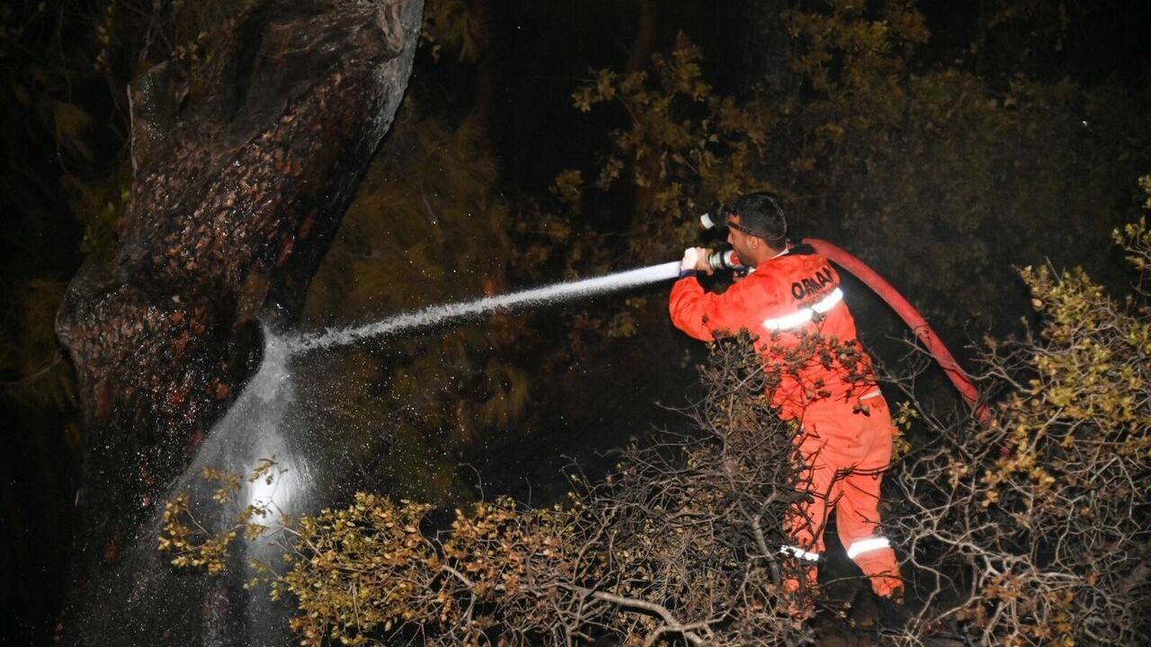 Manavgat'ta çıkan orman yangını söndürüldü