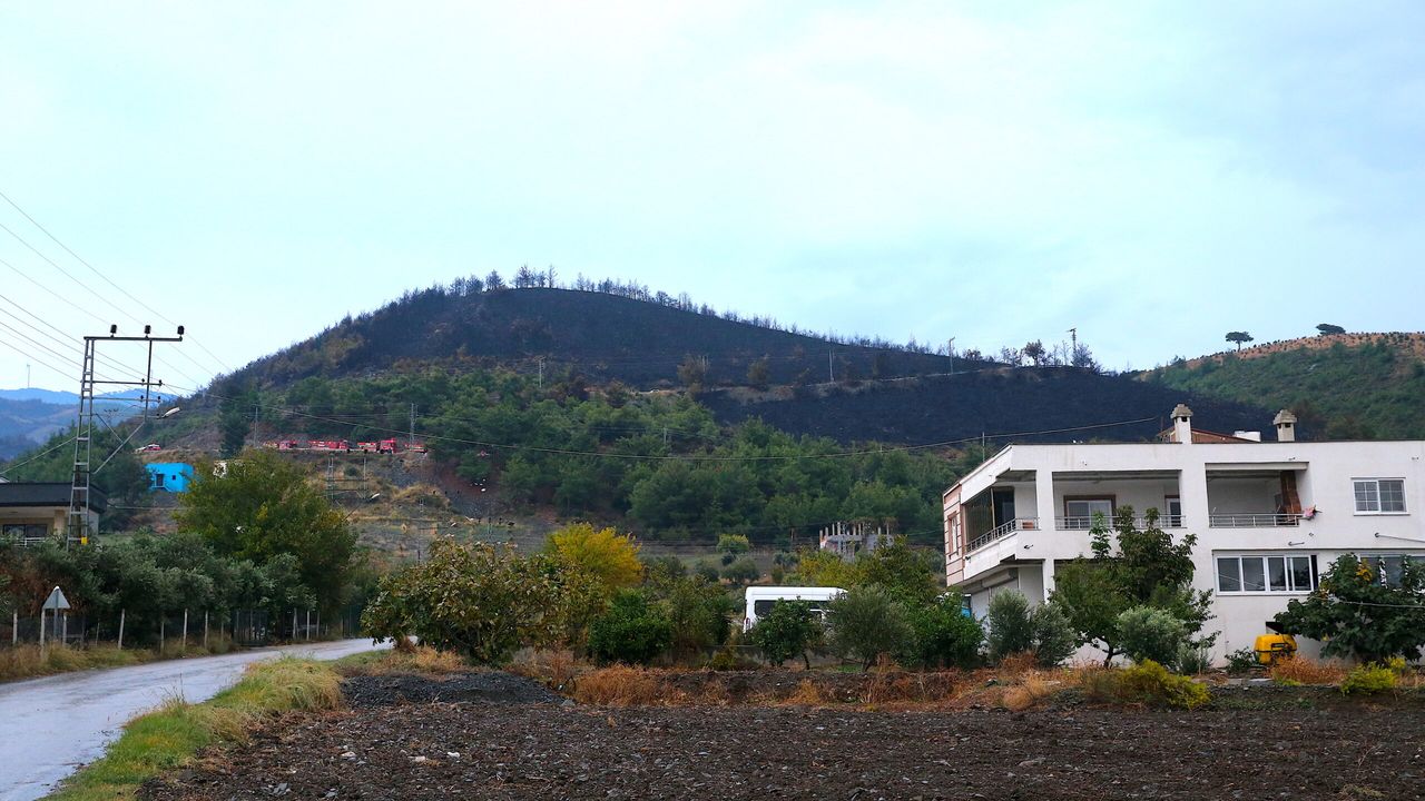 Hatay'da çıkan orman yangını kontrol altına alındı