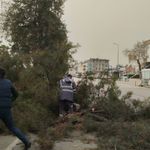 Meteorolojiden Adana için kuvvetli rüzgar uyarısı