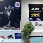 Adana'da 3 mahallede narkotik operasyonu: 4 tutuklama