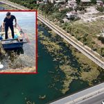 Adana'da Seyhan Nehri'ni çöpler sardı! Gönüllü genç çöpleri tek tek topladı